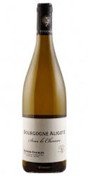 Bourgogne Aligote  2023 Buisson Charles photo