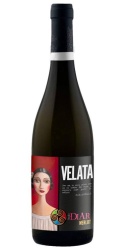 Velata Merlot 2023 Baglio Diar photo