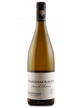 Bourgogne Aligote  2023 Buisson Charles photo