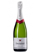 Champagne Brut Réserve Premier Cru Magnum Magnum Dumenil photo