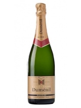 Champagne Millesimé Brut Premier Cru Magnum 2008 Magnum Dumenil photo