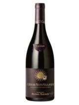 Cote de Nuits Village Domaine Michel Magnien photo