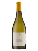 Curtefranca Bianco Lantieri photo