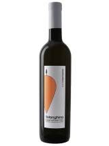 Falanghina Benevento 2024 Corte Normanna photo