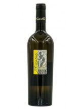 Falanghina del Molise Xaatuis Catabbo Cantine Gabbo photo
