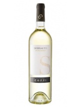 Malvasia Bianca Serralto Coppi photo