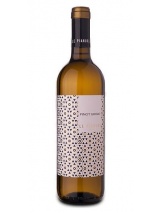 Pinot Grigio Delle Venezie Le Pianure Stocco photo
