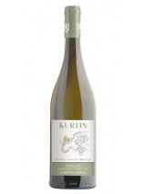 Ribolla Gialla Collio Kurtin photo