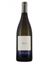 Ribolla Gialla Friuli Venezia Giulia Meroi photo