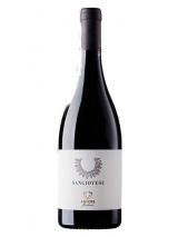 Toscana Rosso Anfora Sangiovese Elena Casadei photo