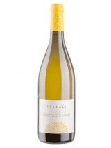 Vermentino di Maremma Toscana Balbino Terenzi photo