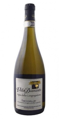 Fiano di Avellino Vigna della Congregazione 2018 picture