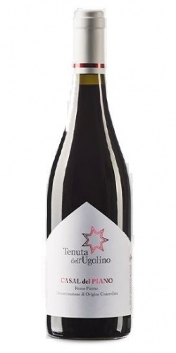 Rosso Piceno Castel del Piano  picture