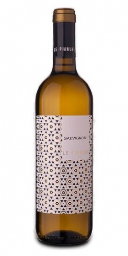 Sauvignon Tre Venezie Le Pianure  picture