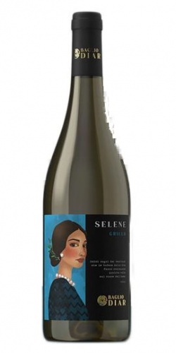 Selene Grillo 2024 picture