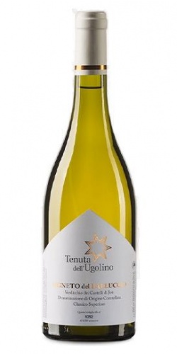 Verdicchio Castello di Jesi Classico Vigneto del Balluccio  picture